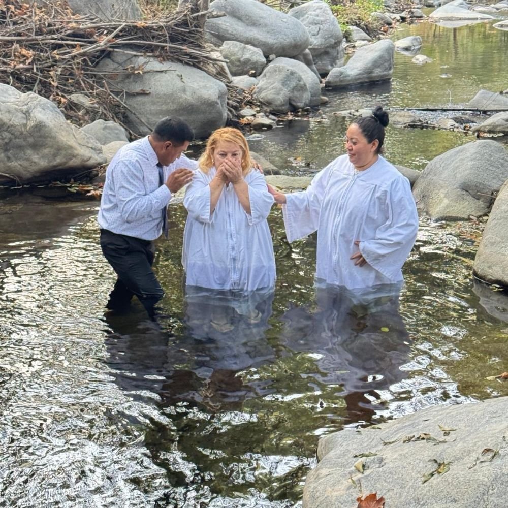 PHOTO-2025-12-15-02-38-46 4